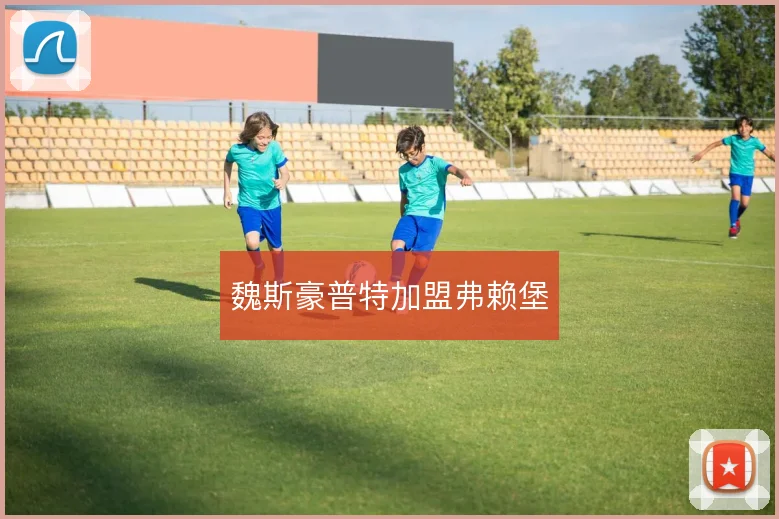 魏斯豪普特加盟弗赖堡
